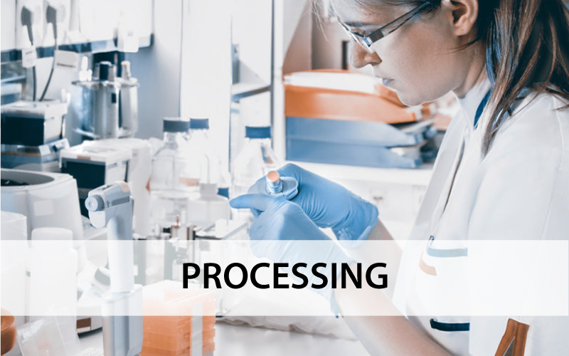 Processing